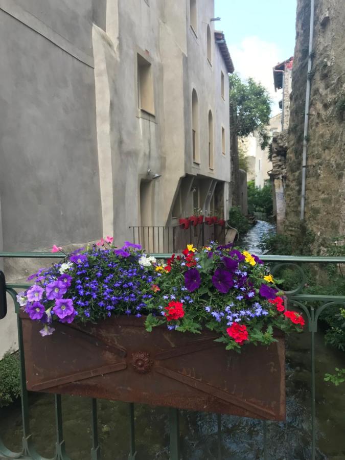 Petit Rêve Apartamento LʼIsle-sur-la-Sorgue Exterior foto